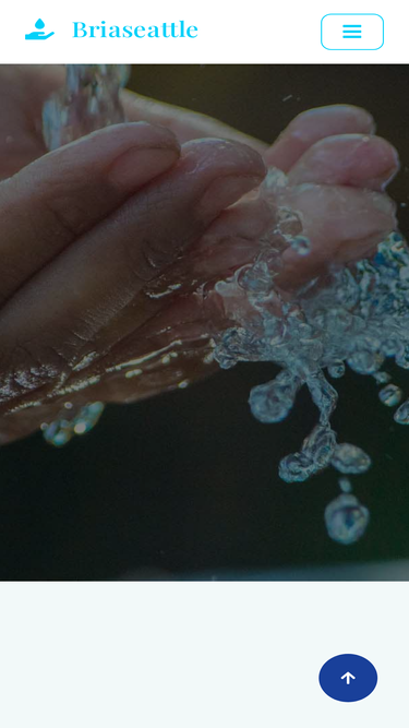 briaseattle.com