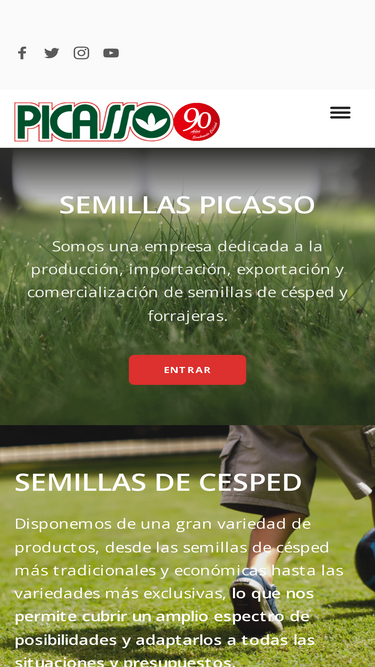 picasso.com.ar