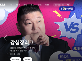 'sbs.co.kr' screenshot