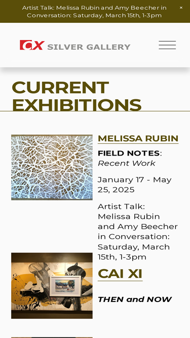cxsilvergallery.com