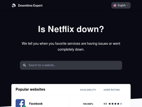 'downtime.expert' screenshot