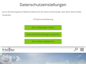 'salzgitter.de' screenshot