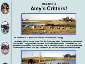 amyscritters.com