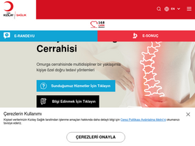 'kizilaysaglik.com.tr' screenshot