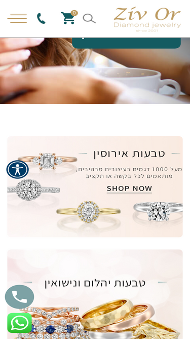 ziv-or.com
