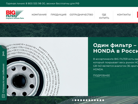'bigfilter.com' screenshot