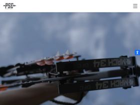 'psearchery.com' screenshot