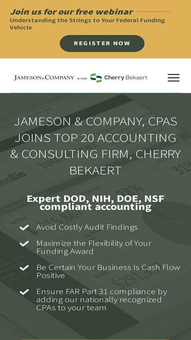 jamesoncpa.com