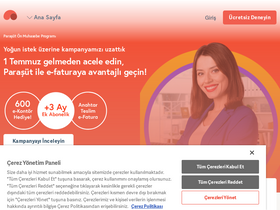 'parasut.com' screenshot