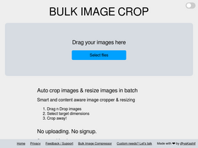 'bulkimagecrop.com' screenshot