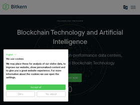 'bitkern.com' screenshot