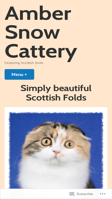 ambersnowcattery.com