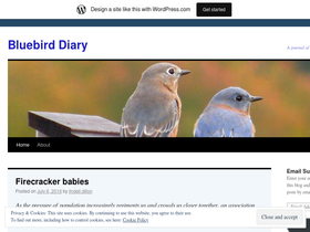 bluebirddiary.wordpress.com