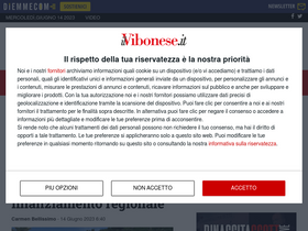 'ilvibonese.it' screenshot
