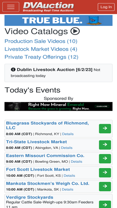 dvauction.com