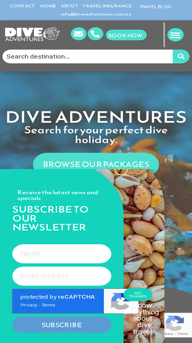 diveadventures.com.au