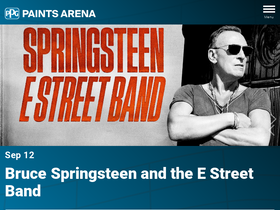 'ppgpaintsarena.com' screenshot