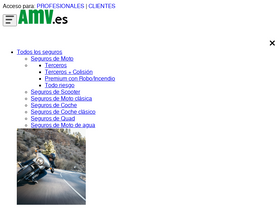'amv.es' screenshot