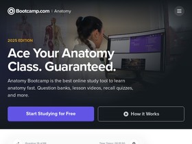 anatomybootcamp.com