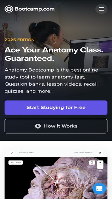 anatomybootcamp.com