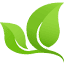 newchurchvineyard.org