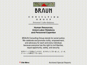 braunconsulting.com