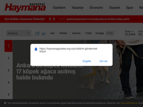 'haymanagazetesi.org' screenshot