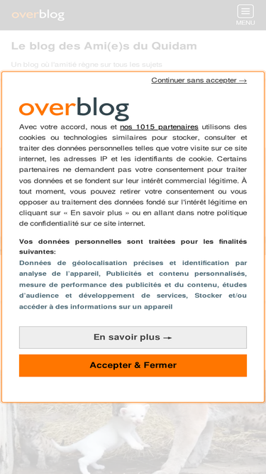 la-cage-ouverte.over-blog.com