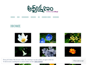 venkatbrao.wordpress.com