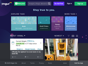 imgur.io Traffic Analytics, Ranking & Audience [August 2024] | Similarweb