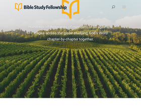 'bsfinternational.org' screenshot