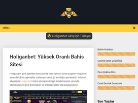 'holiganbetapp.com' screenshot