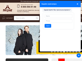 'pnevmat24.ru' screenshot
