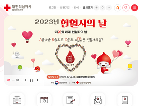 'bloodinfo.net' screenshot