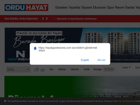 'hayatgazetesiordu.com' screenshot