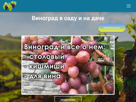 'vinograd-loza.com' screenshot