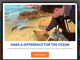 'neaq.org' screenshot