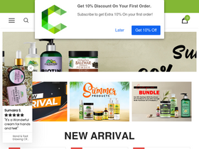 'chiltanpure.com' screenshot