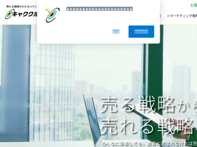 'shopowner-support.net' screenshot