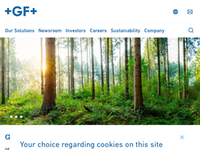 'georgfischer.com' screenshot