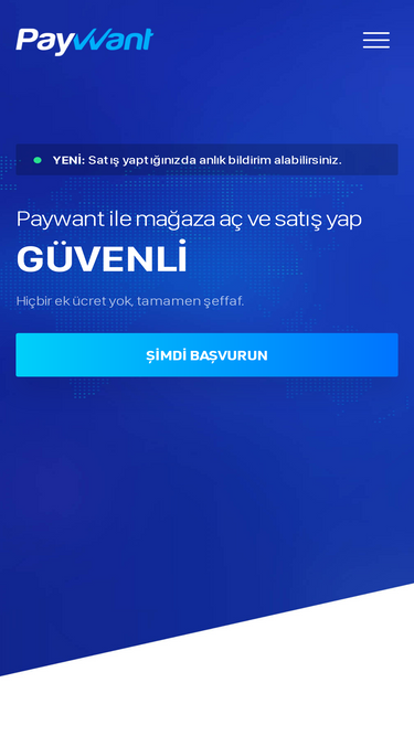 paywant.com