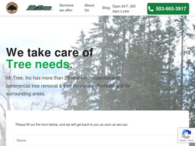 'mrtreeservices.com' screenshot