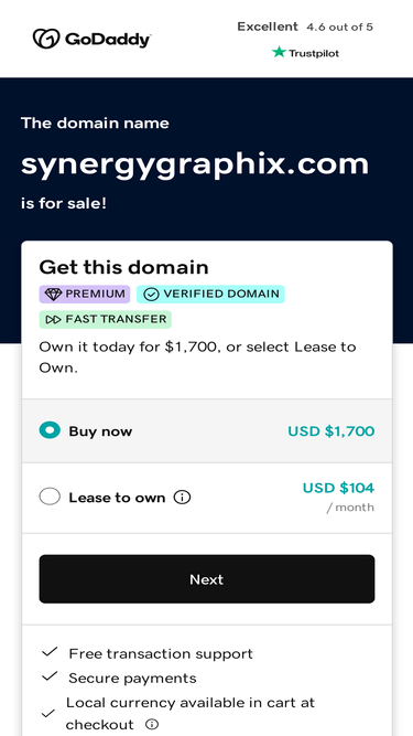 synergygraphix.com