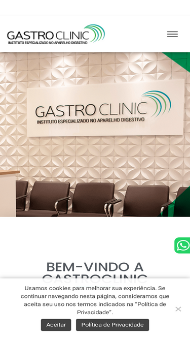 gastroclinic.com.br
