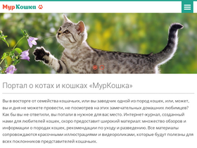 'murkoshka.ru' screenshot