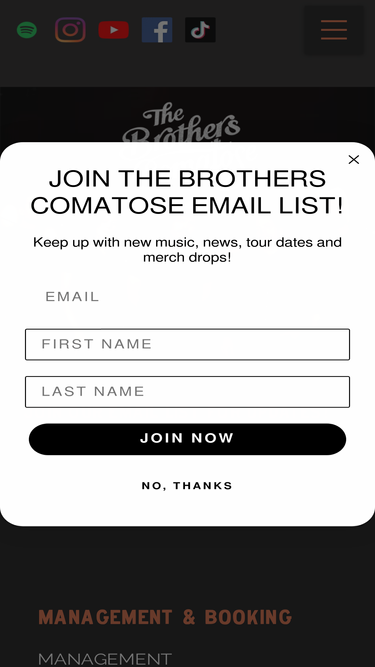 thebrotherscomatose.com