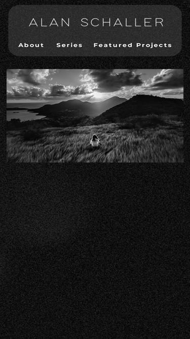 alanschaller.com
