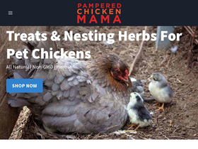 'thefrugalchicken.com' screenshot