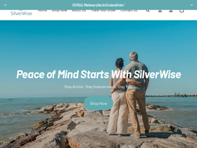 silverwise.com.au homepage screenshot