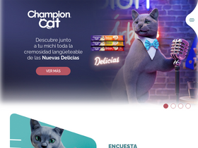 'championcat.cl' screenshot